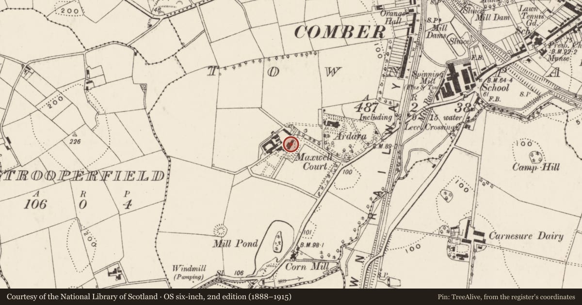 Ordnance Survey six-inch map, 2nd edition (1888–1915) covering the location of Maxwell Court, Comber, Ards and North Down, with a pin at the register's coordinates
