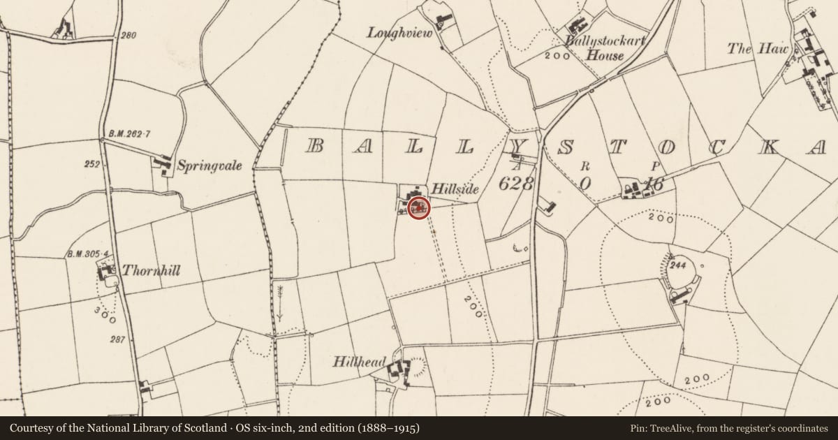 Ordnance Survey six-inch map, 2nd edition (1888–1915) covering the location of Hillside, Ballystockart, Ards and North Down, with a pin at the register's coordinates
