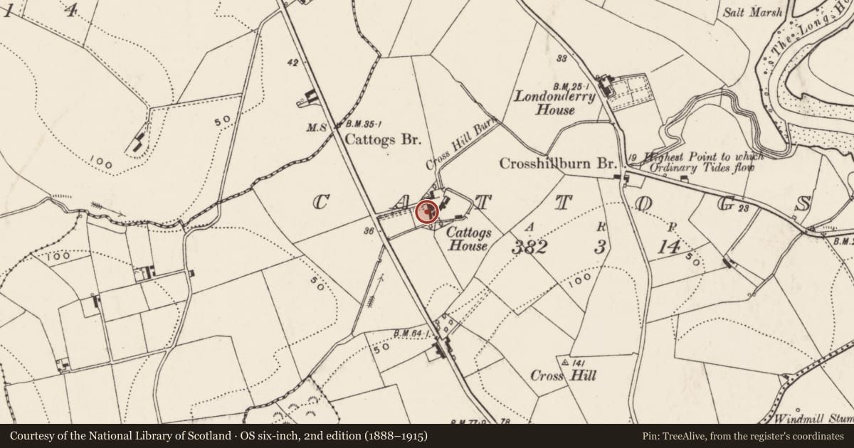 Ordnance Survey six-inch map, 2nd edition (1888–1915) covering the location of Cattogs House, Ards and North Down, with a pin at the register's coordinates