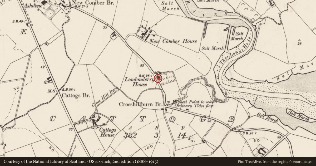 Ordnance Survey six-inch map, 2nd edition (1888–1915) covering the location of The Forde, Cattogs, Ards and North Down, with a pin at the register's coordinates