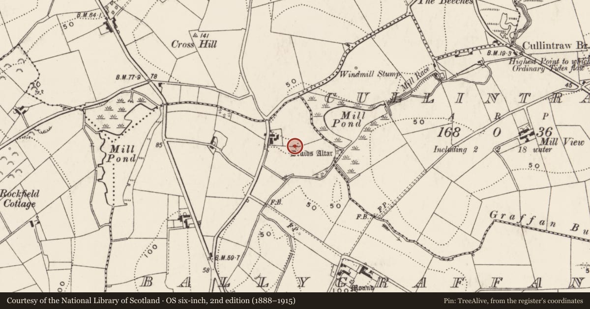 Ordnance Survey six-inch map, 2nd edition (1888–1915) covering the location of Dolmen, Ballygraffan, Ards and North Down, with a pin at the register's coordinates