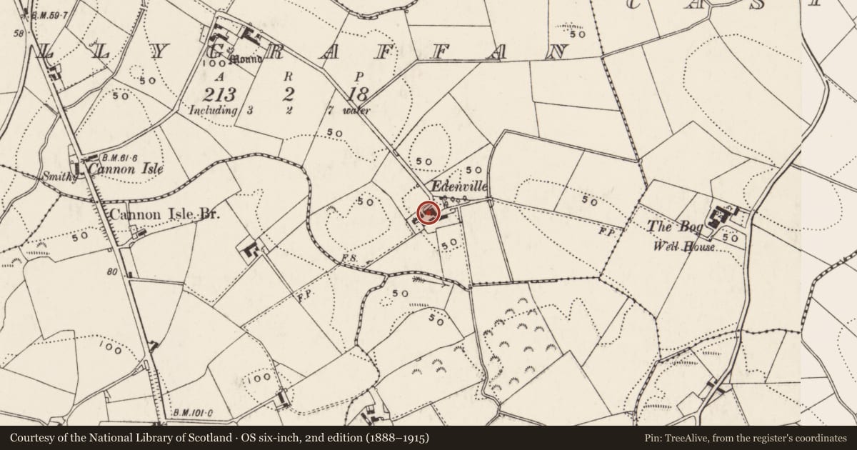 Ordnance Survey six-inch map, 2nd edition (1888–1915) covering the location of Edenville, Ballygraffan, Ards and North Down, with a pin at the register's coordinates