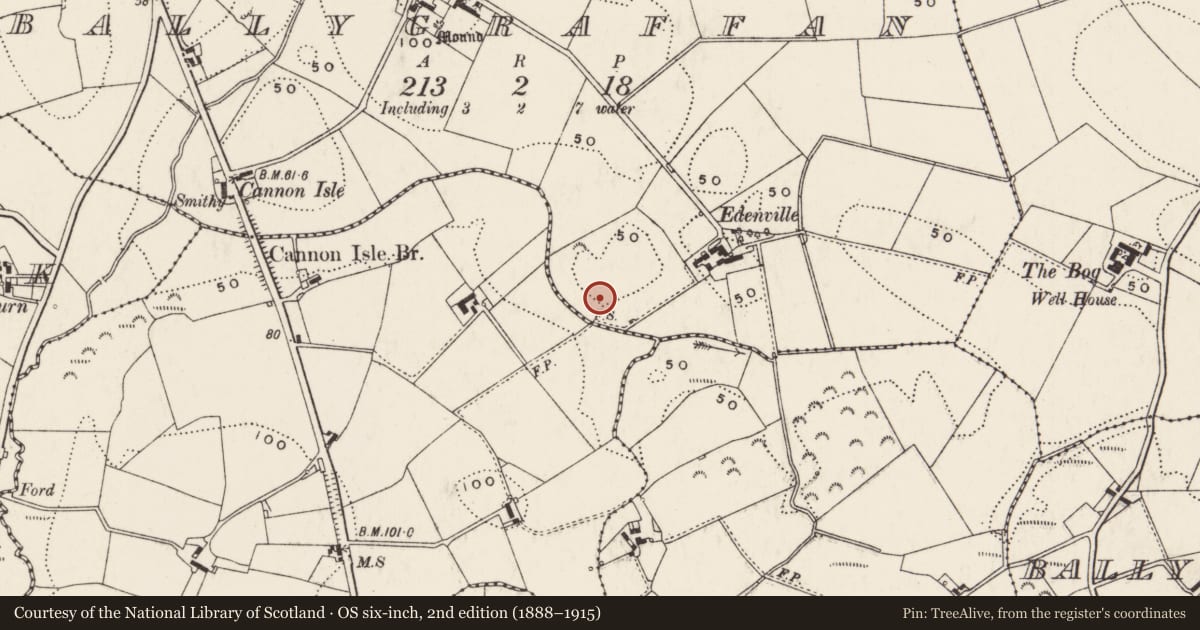 Ordnance Survey six-inch map, 2nd edition (1888–1915) covering the location of Chambered grave, Ballygraffan, Ards and North Down, with a pin at the register's coordinates