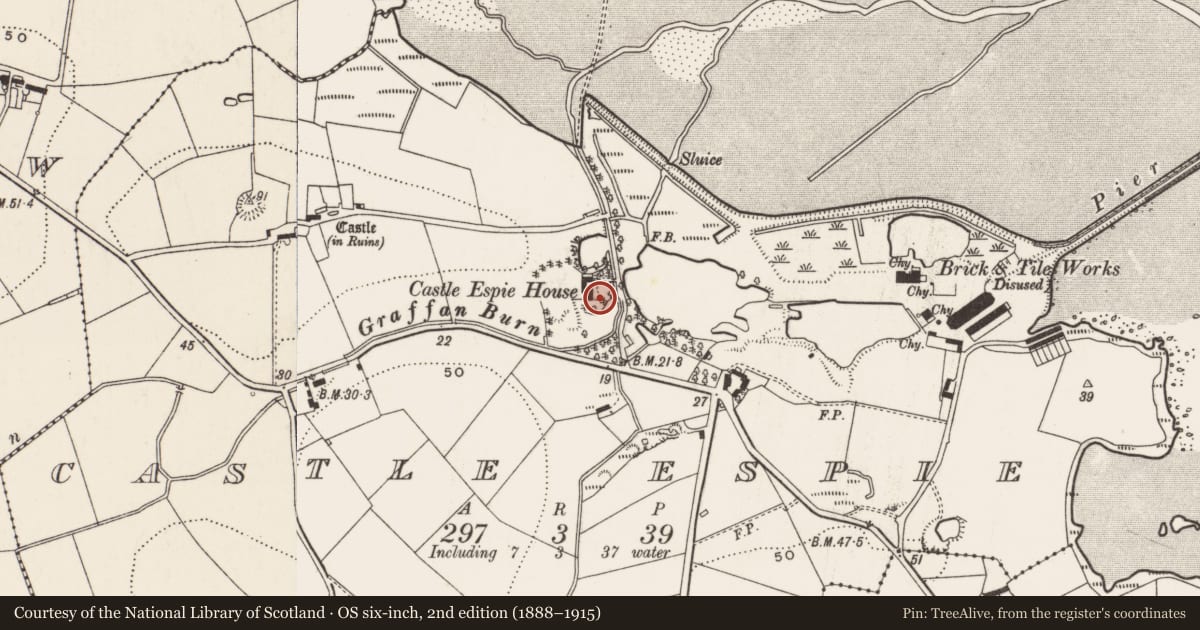 Ordnance Survey six-inch map, 2nd edition (1888–1915) covering the location of Castle Espie House, Ards and North Down, with a pin at the register's coordinates
