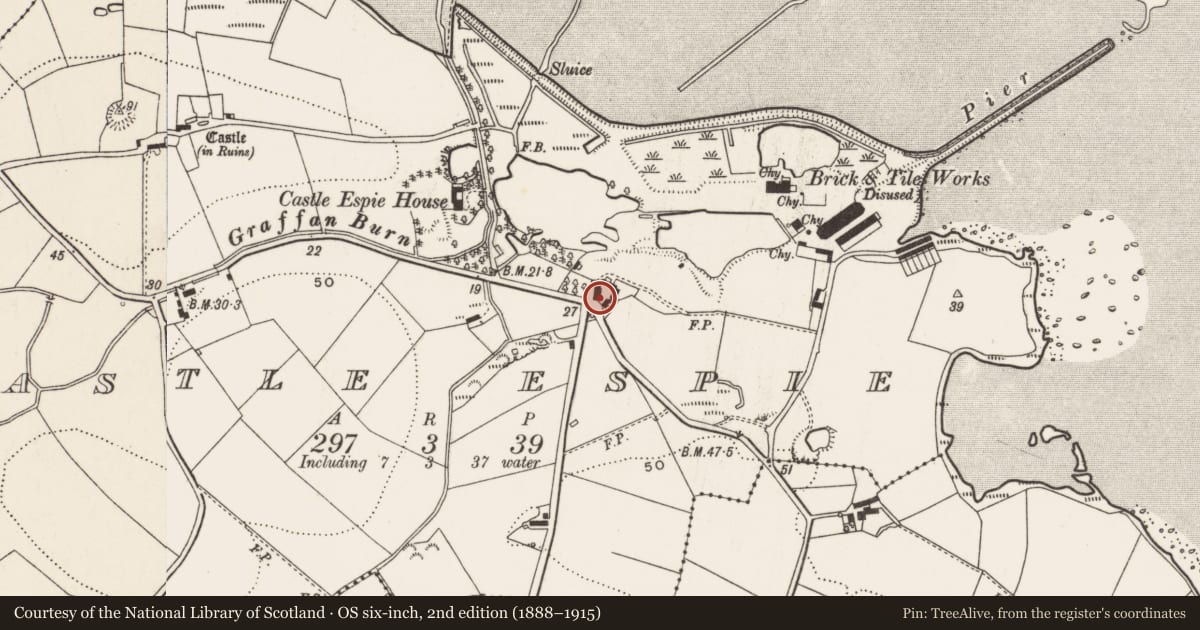 Ordnance Survey six-inch map, 2nd edition (1888–1915) covering the location of Old farm house, Castle Espie, Ards and North Down, with a pin at the register's coordinates