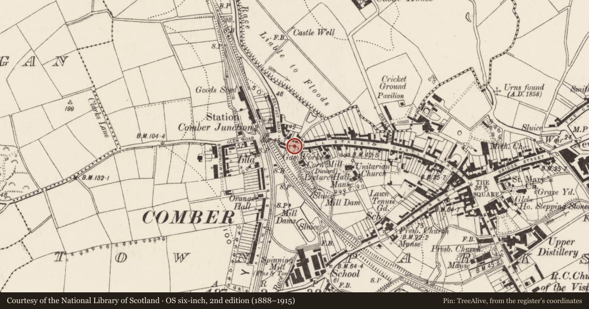 Ordnance Survey six-inch map, 2nd edition (1888–1915) covering the location of Thompson's Hall, Town Parks, Ards and North Down, with a pin at the register's coordinates