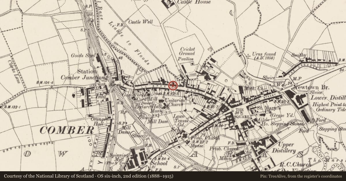 Ordnance Survey six-inch map, 2nd edition (1888–1915) covering the location of 17-29 Mill Street, Town Parks, Ards and North Down, with a pin at the register's coordinates