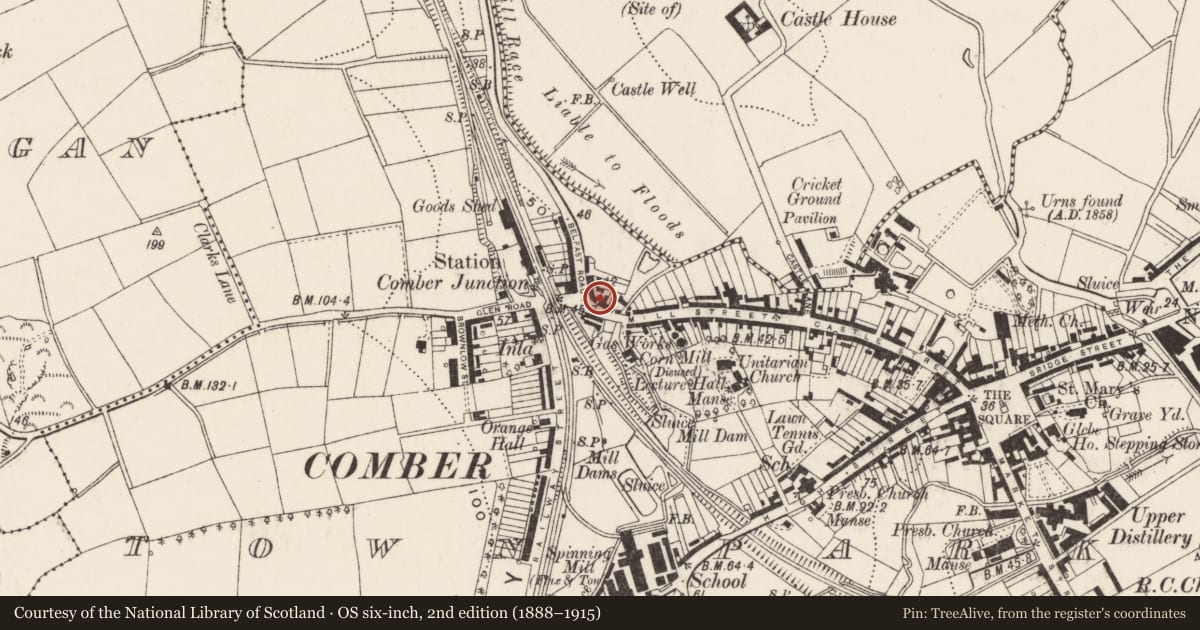 Ordnance Survey six-inch map, 2nd edition (1888–1915) covering the location of 97-99 Mill Street, Town Parks, Ards and North Down, with a pin at the register's coordinates