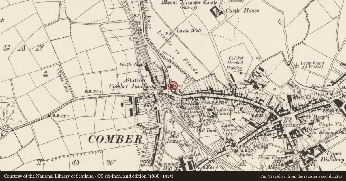 Ordnance Survey six-inch map, 2nd edition (1888–1915) covering the location of 7 Belfast Road, Town Parks, Ards and North Down, with a pin at the register's coordinates