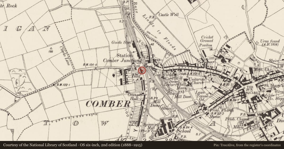 Ordnance Survey six-inch map, 2nd edition (1888–1915) covering the location of Masonic Hall, Comber, Ards and North Down, with a pin at the register's coordinates