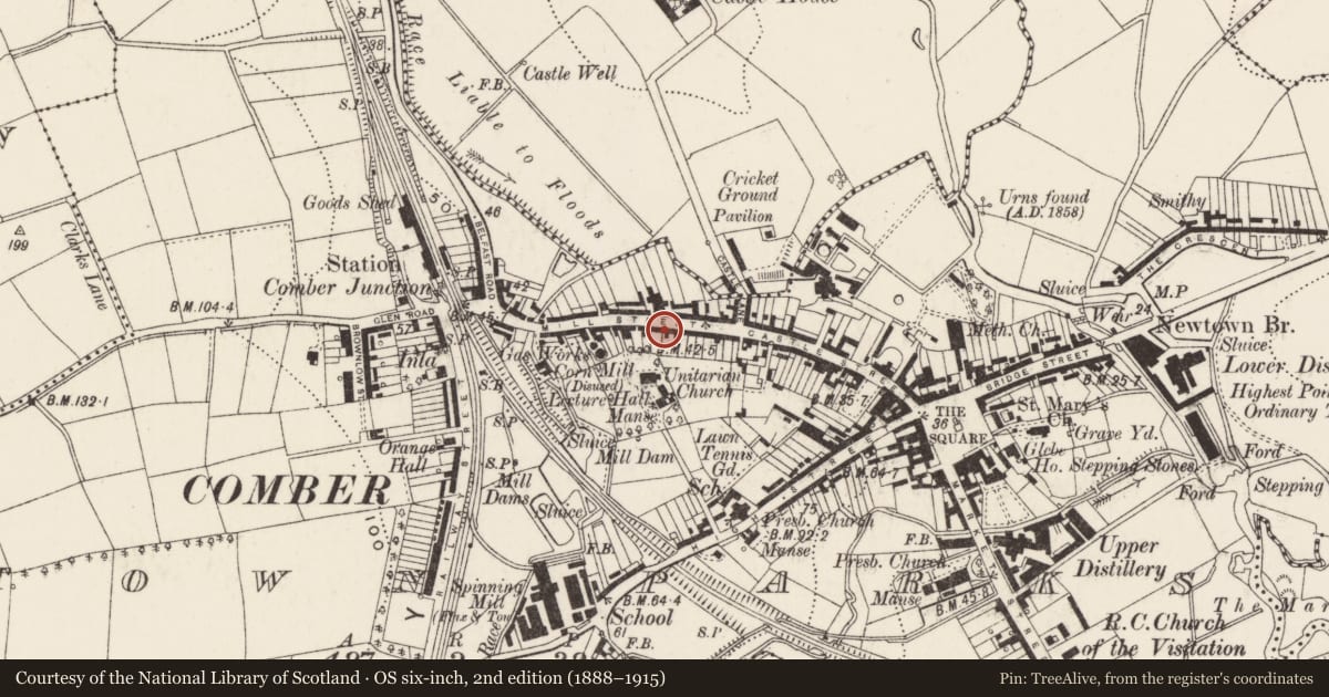 Ordnance Survey six-inch map, 2nd edition (1888–1915) covering the location of Former J.A. MacDonald's shop, Town Parks, Ards and North Down, with a pin at the register's coordinates