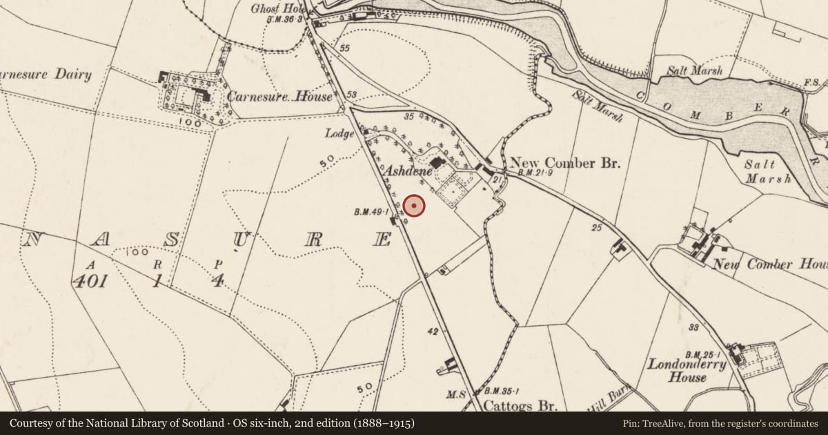 Ordnance Survey six-inch map, 2nd edition (1888–1915) covering the location of Eusemere, Carnasure, Ards and North Down, with a pin at the register's coordinates