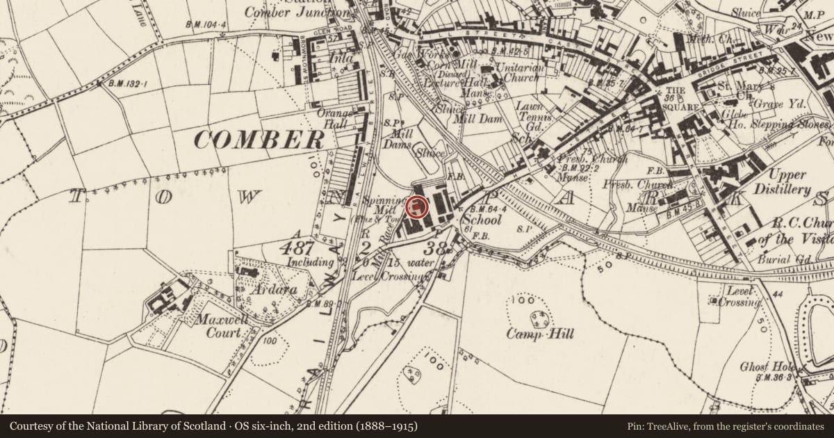 Ordnance Survey six-inch map, 2nd edition (1888–1915) covering the location of Andrew's Spinning Mill, Comber, Ards and North Down, with a pin at the register's coordinates