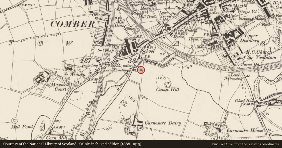 Ordnance Survey six-inch map, 2nd edition (1888–1915) covering the location of 46-52 Carnesure Terrace, Ards and North Down, with a pin at the register's coordinates