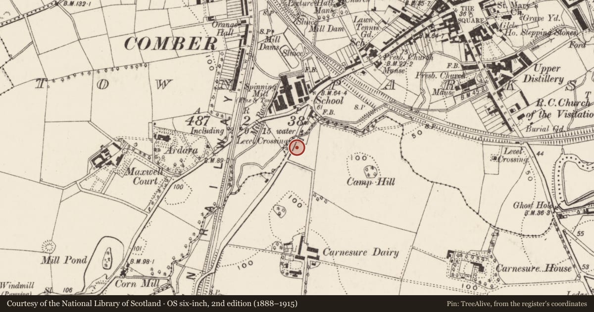 Ordnance Survey six-inch map, 2nd edition (1888–1915) covering the location of 26-44 Carnesure Terrace, Ards and North Down, with a pin at the register's coordinates