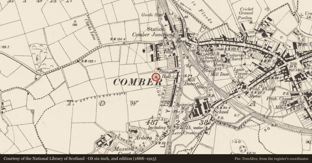 Ordnance Survey six-inch map, 2nd edition (1888–1915) covering the location of 59-89 Brownlow Street, Town parks, Ards and North Down, with a pin at the register's coordinates