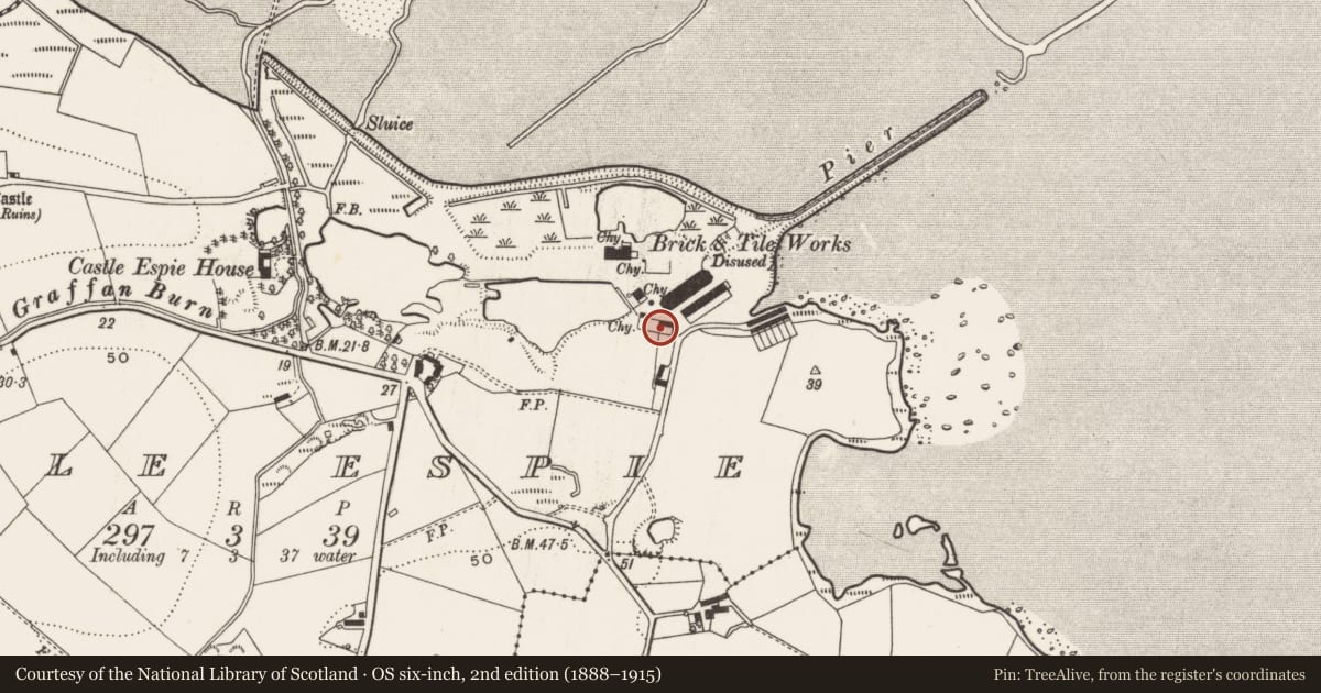 Ordnance Survey six-inch map, 2nd edition (1888–1915) covering the location of Buildings at former quarry site, Castle Espie, Ards and North Down, with a pin at the register's coordinates