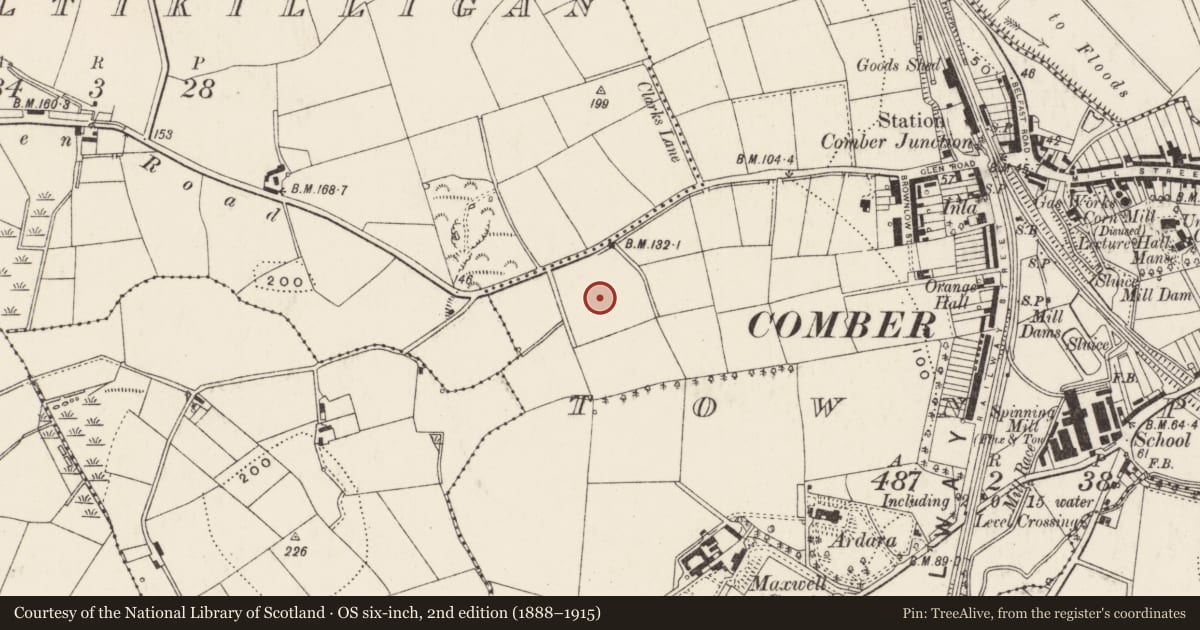 Ordnance Survey six-inch map, 2nd edition (1888–1915) covering the location of Pump, Town Parks, Ards and North Down, with a pin at the register's coordinates