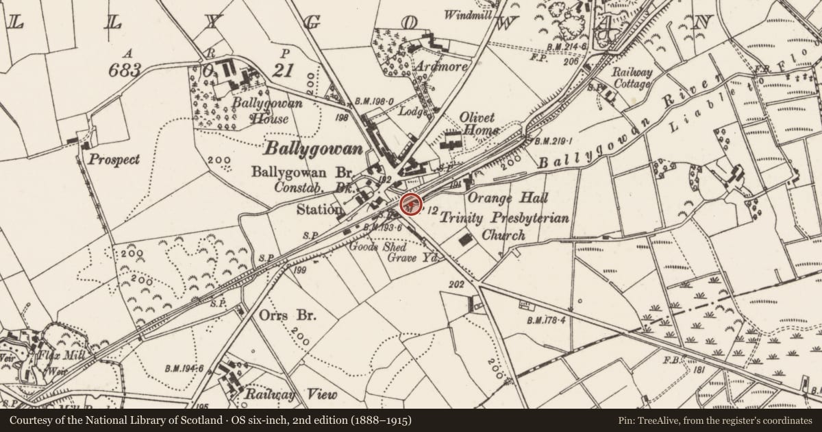 Ordnance Survey six-inch map, 2nd edition (1888–1915) covering the location of Road and rail bridge, Ballygowan, Ards and North Down, with a pin at the register's coordinates