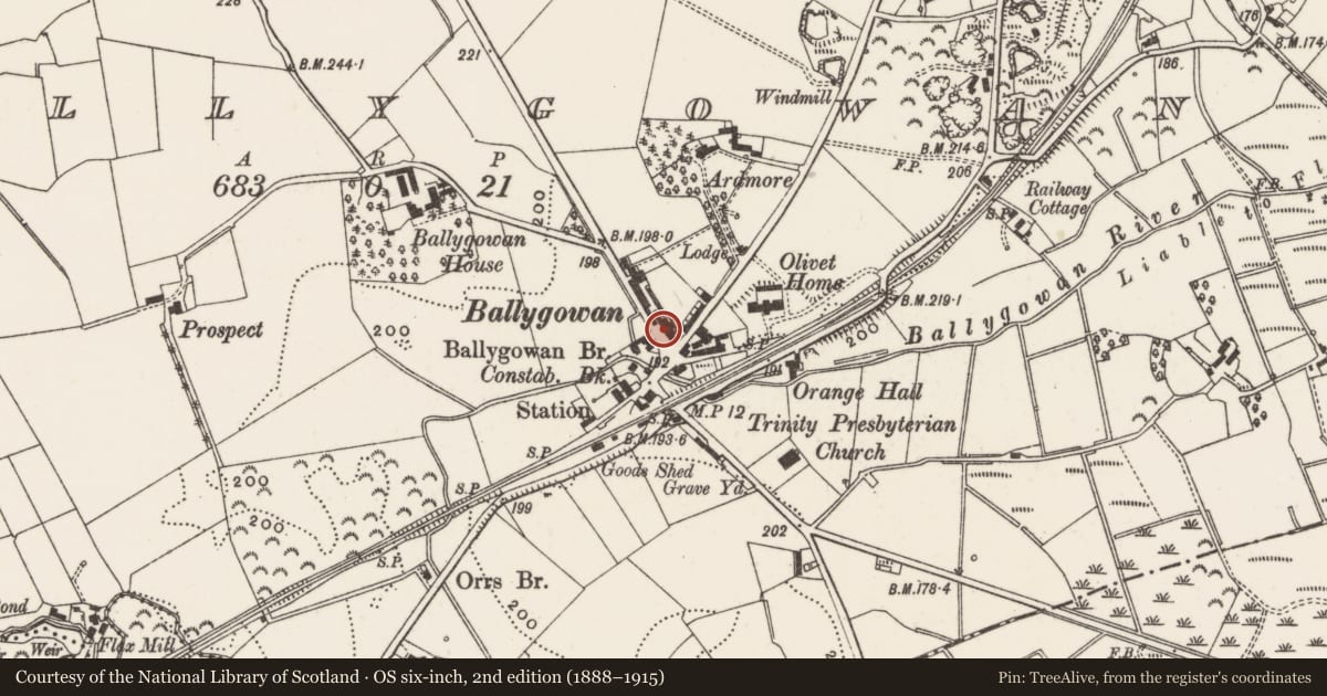 Ordnance Survey six-inch map, 2nd edition (1888–1915) covering the location of Public House (‘Burgundy Ben’s’), Ballygowan, Ards and North Down, with a pin at the register's coordinates