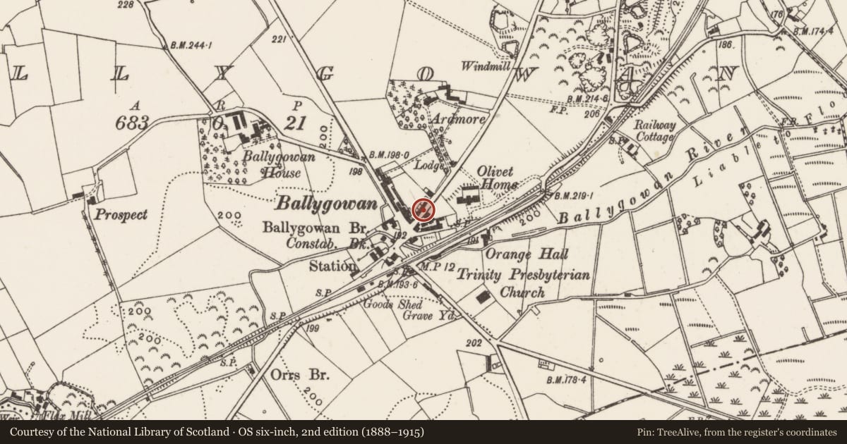 Ordnance Survey six-inch map, 2nd edition (1888–1915) covering the location of 4-18 The Brae, Ballygowan, Ards and North Down, with a pin at the register's coordinates