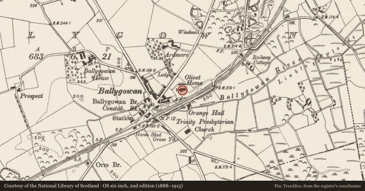Ordnance Survey six-inch map, 2nd edition (1888–1915) covering the location of Former orphanage, Ballygowan, Ards and North Down, with a pin at the register's coordinates