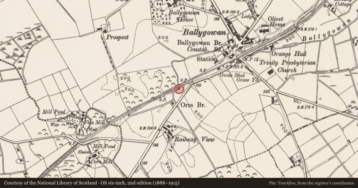 Ordnance Survey six-inch map, 2nd edition (1888–1915) covering the location of Railway Bridge, Ballygowan, Ards and North Down, with a pin at the register's coordinates