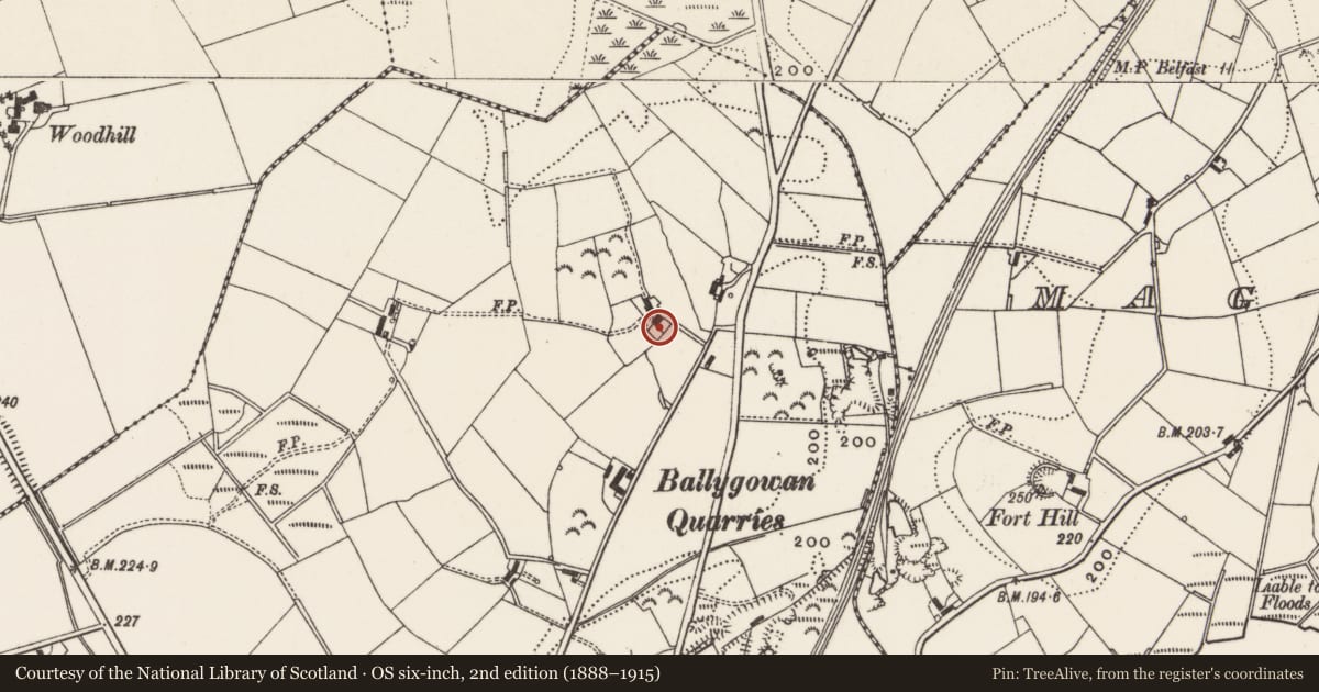 Ordnance Survey six-inch map, 2nd edition (1888–1915) covering the location of 50 The Brae, Ballygowan, Ards and North Down, with a pin at the register's coordinates