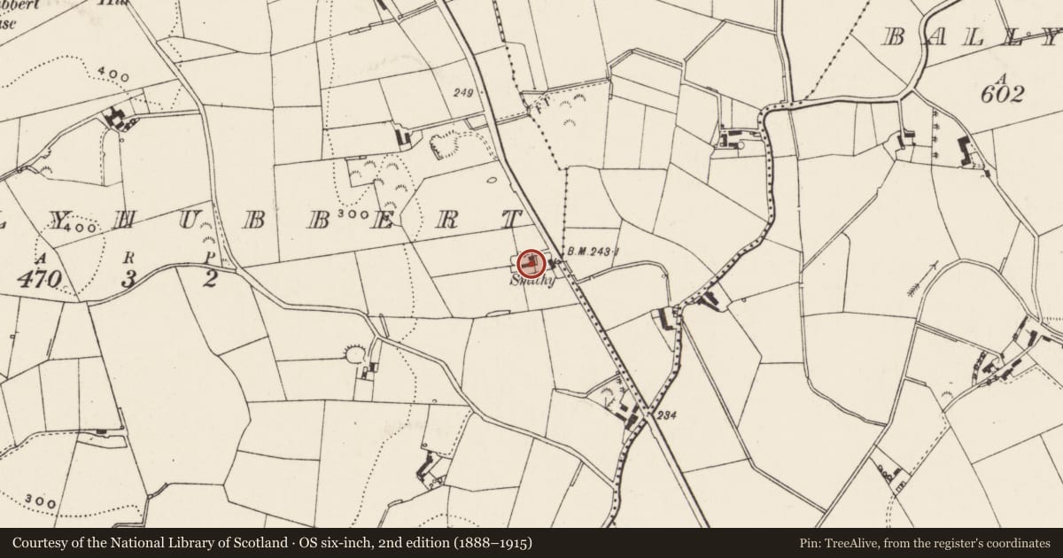 Ordnance Survey six-inch map, 2nd edition (1888–1915) covering the location of 169 Moneyreagh Road, Tullyhubbert, Ards and North Down, with a pin at the register's coordinates