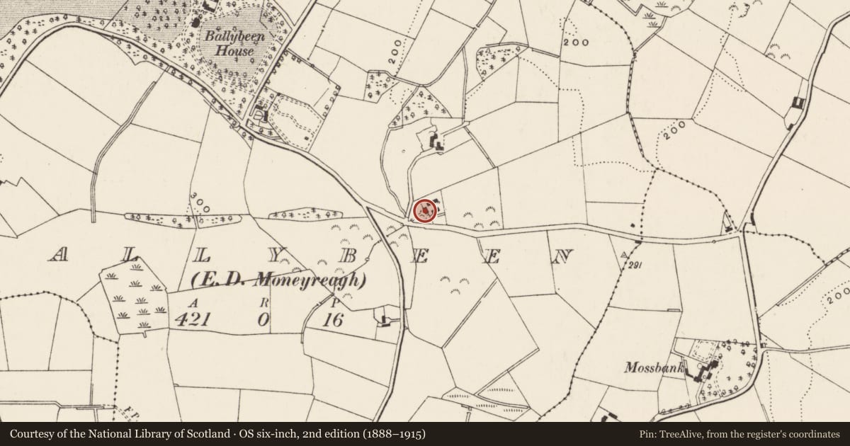 Ordnance Survey six-inch map, 2nd edition (1888–1915) covering the location of 22 Ballybeen Road, Ards and North Down, with a pin at the register's coordinates