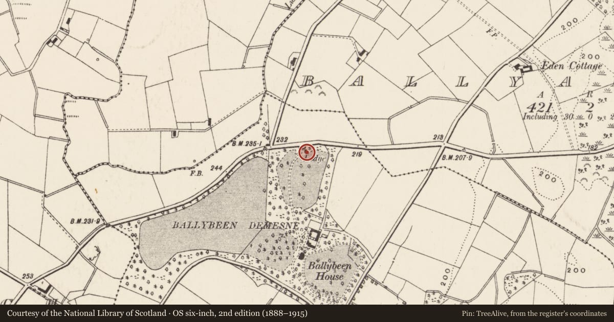 Ordnance Survey six-inch map, 2nd edition (1888–1915) covering the location of Gate lodge to former Ballybeen House, Ards and North Down, with a pin at the register's coordinates
