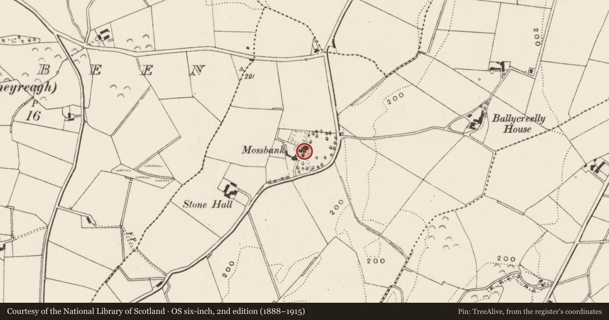 Ordnance Survey six-inch map, 2nd edition (1888–1915) covering the location of Moss Bank, Ballycreelly, Ards and North Down, with a pin at the register's coordinates