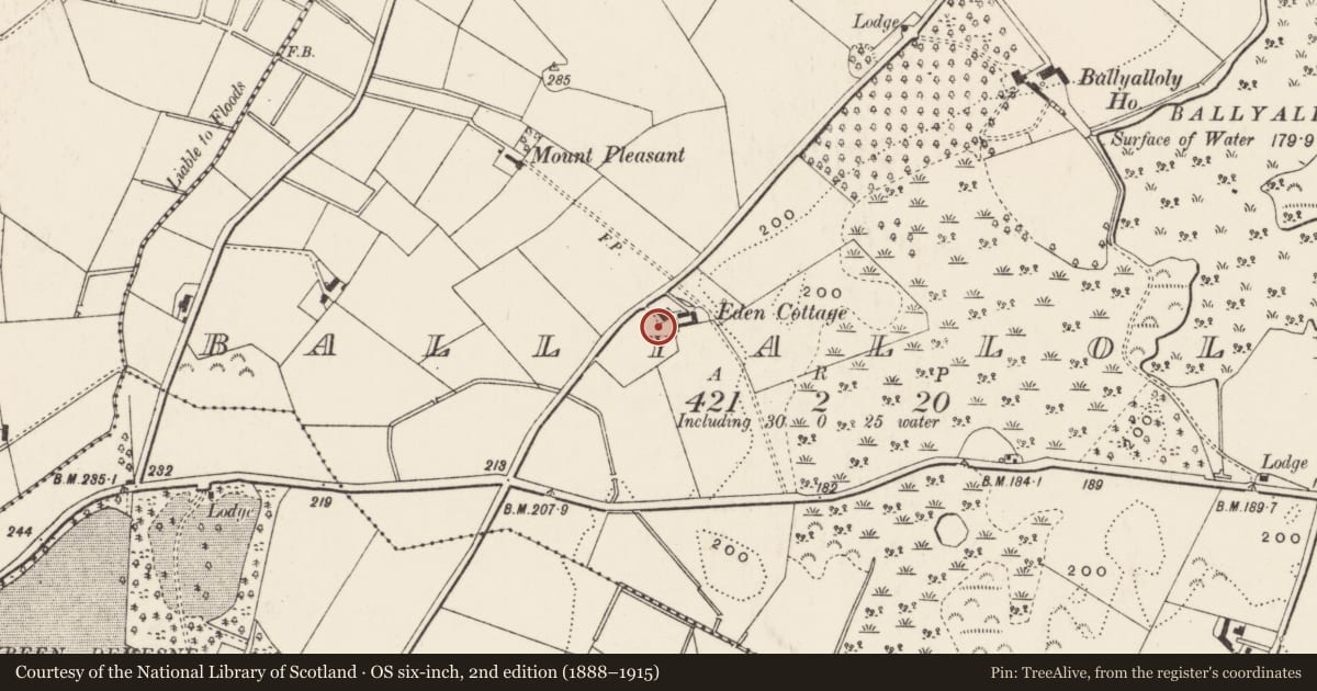 Ordnance Survey six-inch map, 2nd edition (1888–1915) covering the location of Eden Cottage, Ballyalloly, Ards and North Down, with a pin at the register's coordinates