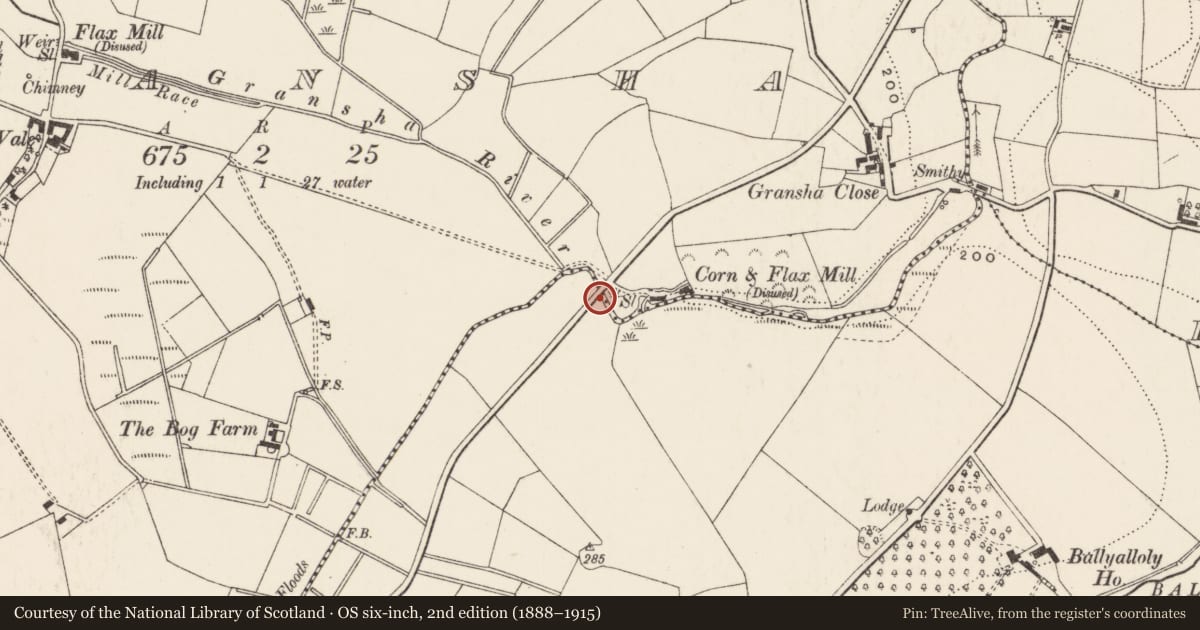Ordnance Survey six-inch map, 2nd edition (1888–1915) covering the location of Bridge, Ballystockart/Gransha, Ards and North Down, with a pin at the register's coordinates