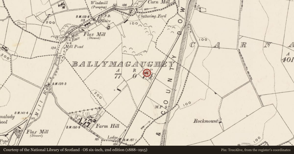 Ordnance Survey six-inch map, 2nd edition (1888–1915) covering the location of 41 Old Ballygowan Road, Ballymagaughey, Ards and North Down, with a pin at the register's coordinates