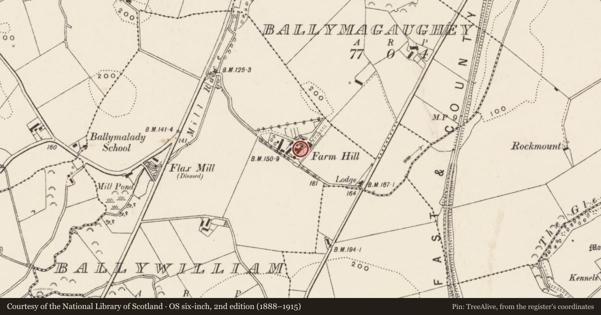 Ordnance Survey six-inch map, 2nd edition (1888–1915) covering the location of Ballywilliam House, Ards and North Down, with a pin at the register's coordinates