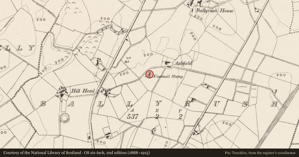 Ordnance Survey six-inch map, 2nd edition (1888–1915) covering the location of Windmill stump, Ballyrush, Ards and North Down, with a pin at the register's coordinates
