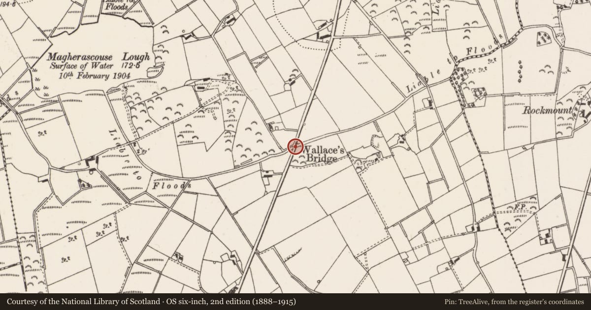 Ordnance Survey six-inch map, 2nd edition (1888–1915) covering the location of Wallace’s Bridge, Magherascouse, Ards and North Down, with a pin at the register's coordinates