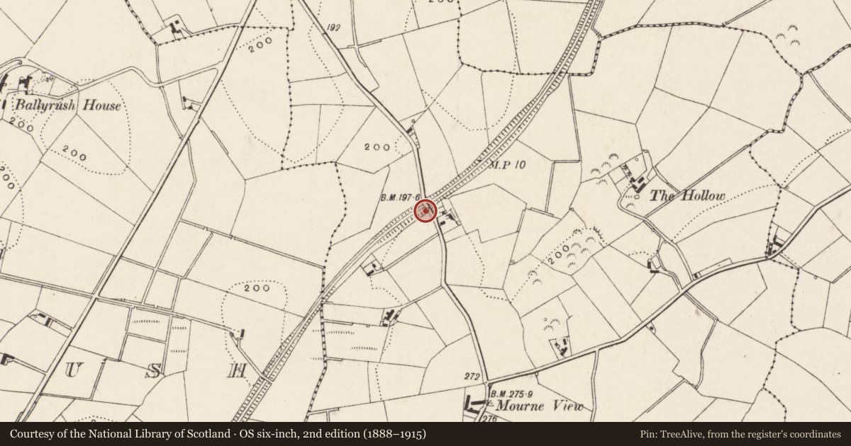 Ordnance Survey six-inch map, 2nd edition (1888–1915) covering the location of Bridge, Magherascouse, Ards and North Down, with a pin at the register's coordinates