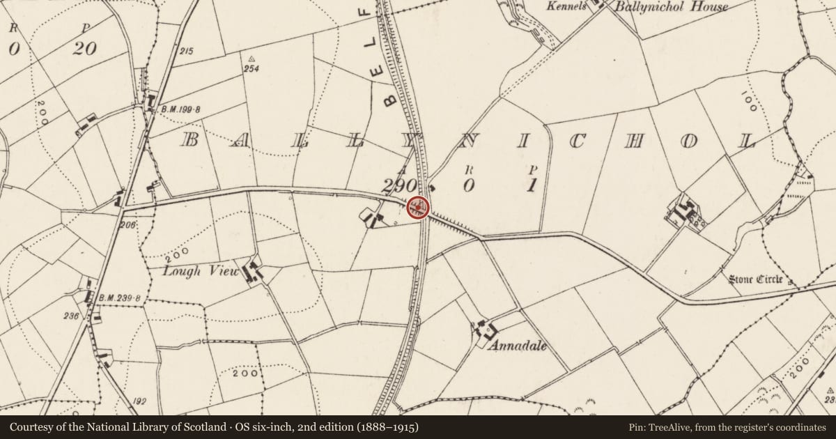 Ordnance Survey six-inch map, 2nd edition (1888–1915) covering the location of Bridge, Ballynichol, Ards and North Down, with a pin at the register's coordinates