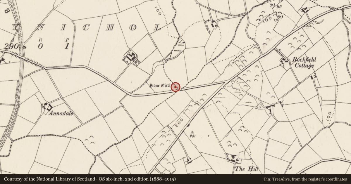 Ordnance Survey six-inch map, 2nd edition (1888–1915) covering the location of ‘Horned Cairn’, Ballynichol, Ards and North Down, with a pin at the register's coordinates