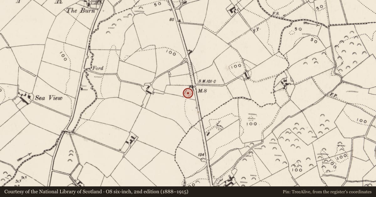 Ordnance Survey six-inch map, 2nd edition (1888–1915) covering the location of 109 Killinchy Road, Ballykeel, Ards and North Down, with a pin at the register's coordinates