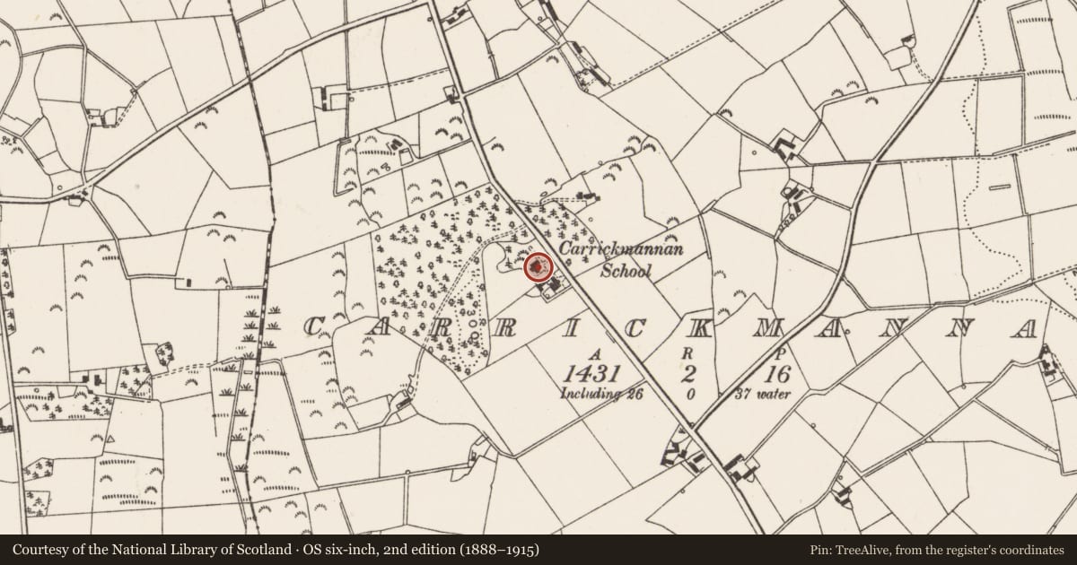 Ordnance Survey six-inch map, 2nd edition (1888–1915) covering the location of Carrickmannan Primary School, Ards and North Down, with a pin at the register's coordinates