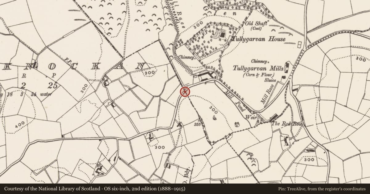 Ordnance Survey six-inch map, 2nd edition (1888–1915) covering the location of Boundary Stone, Ravara, Lisburn and Castlereagh, with a pin at the register's coordinates