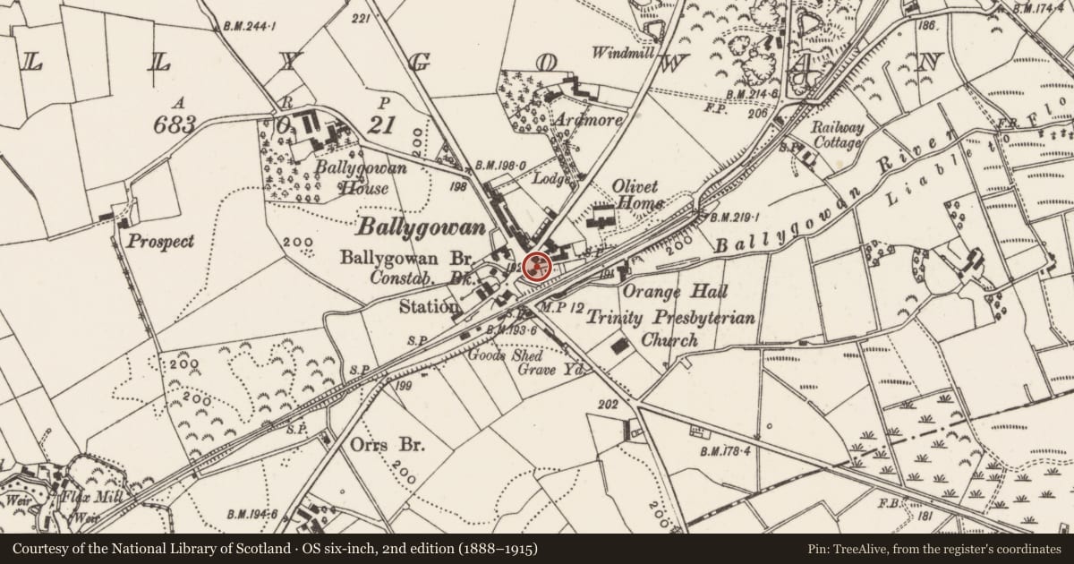 Ordnance Survey six-inch map, 2nd edition (1888–1915) covering the location of Davidson’s Railway Hotel, Ballygowan, Ards and North Down, with a pin at the register's coordinates