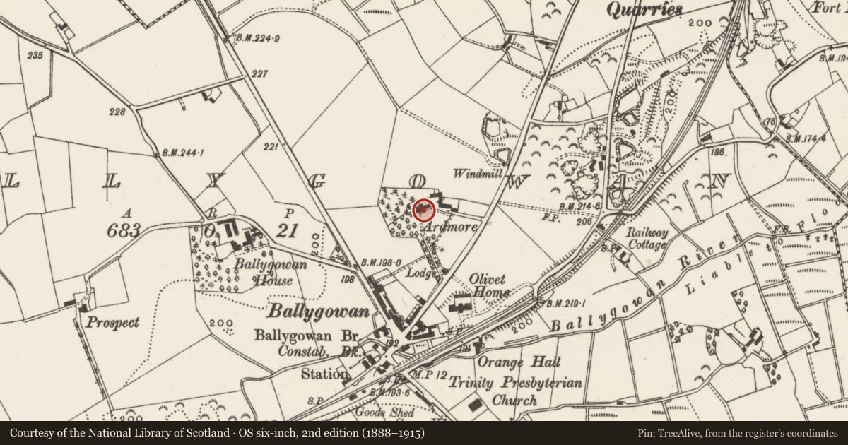 Ordnance Survey six-inch map, 2nd edition (1888–1915) covering the location of Ardmore, Ballygowan, Ards and North Down, with a pin at the register's coordinates
