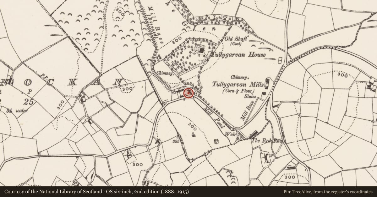 Ordnance Survey six-inch map, 2nd edition (1888–1915) covering the location of Farm buildings (former flax spinning factory), Tullygarvan, Ards and North Down, with a pin at the register's coordinates