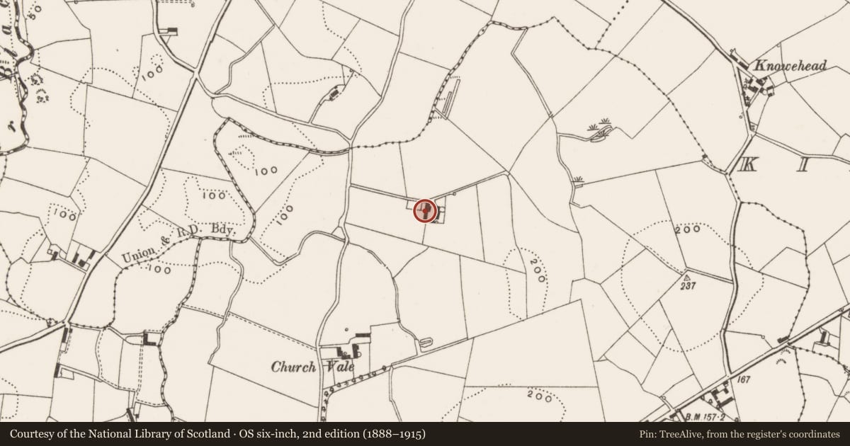 Ordnance Survey six-inch map, 2nd edition (1888–1915) covering the location of The Beeches, Killinchy, Ards and North Down, with a pin at the register's coordinates