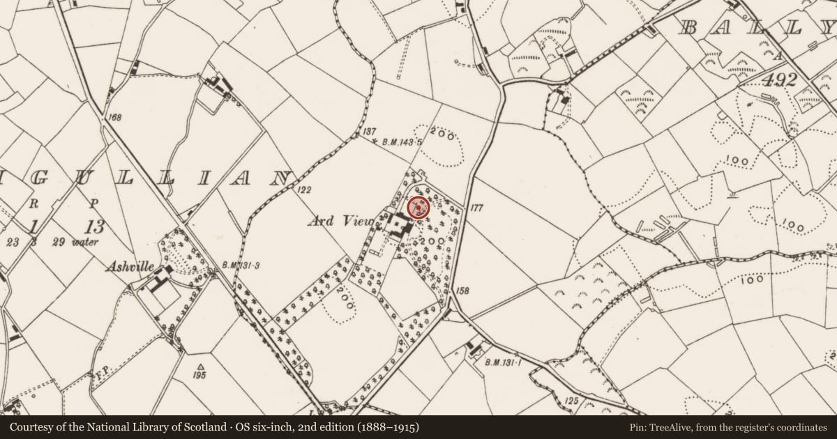 Ordnance Survey six-inch map, 2nd edition (1888–1915) covering the location of Dry Closet, Killinchy, Ards and North Down, with a pin at the register's coordinates