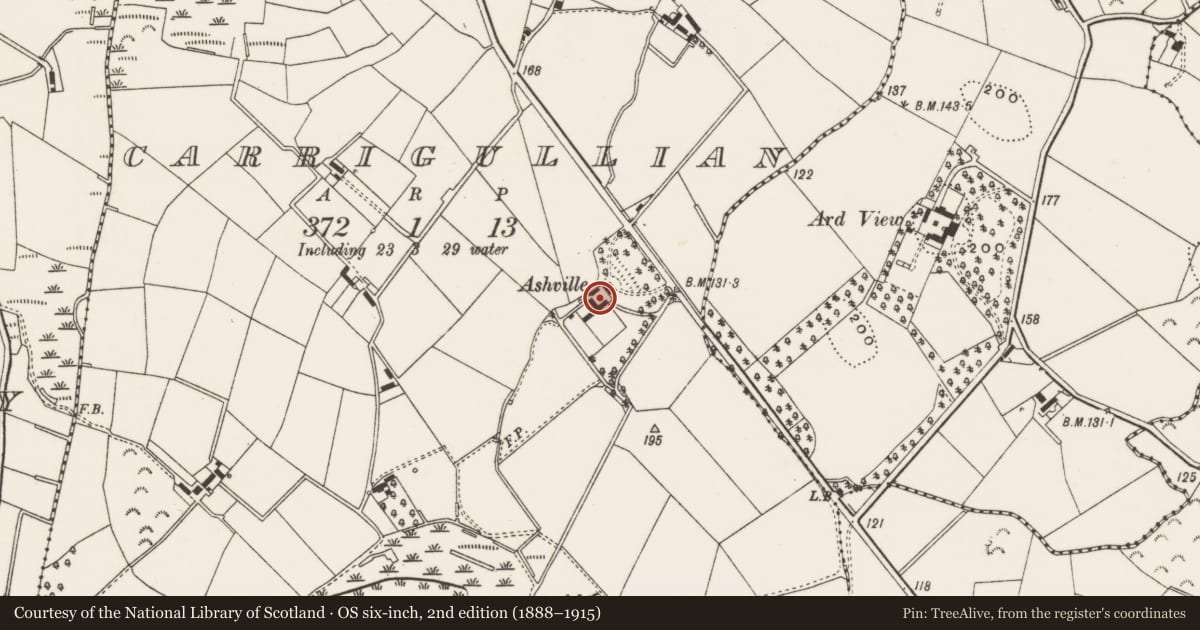 Ordnance Survey six-inch map, 2nd edition (1888–1915) covering the location of Ashville, Carrigullian, Ards and North Down, with a pin at the register's coordinates